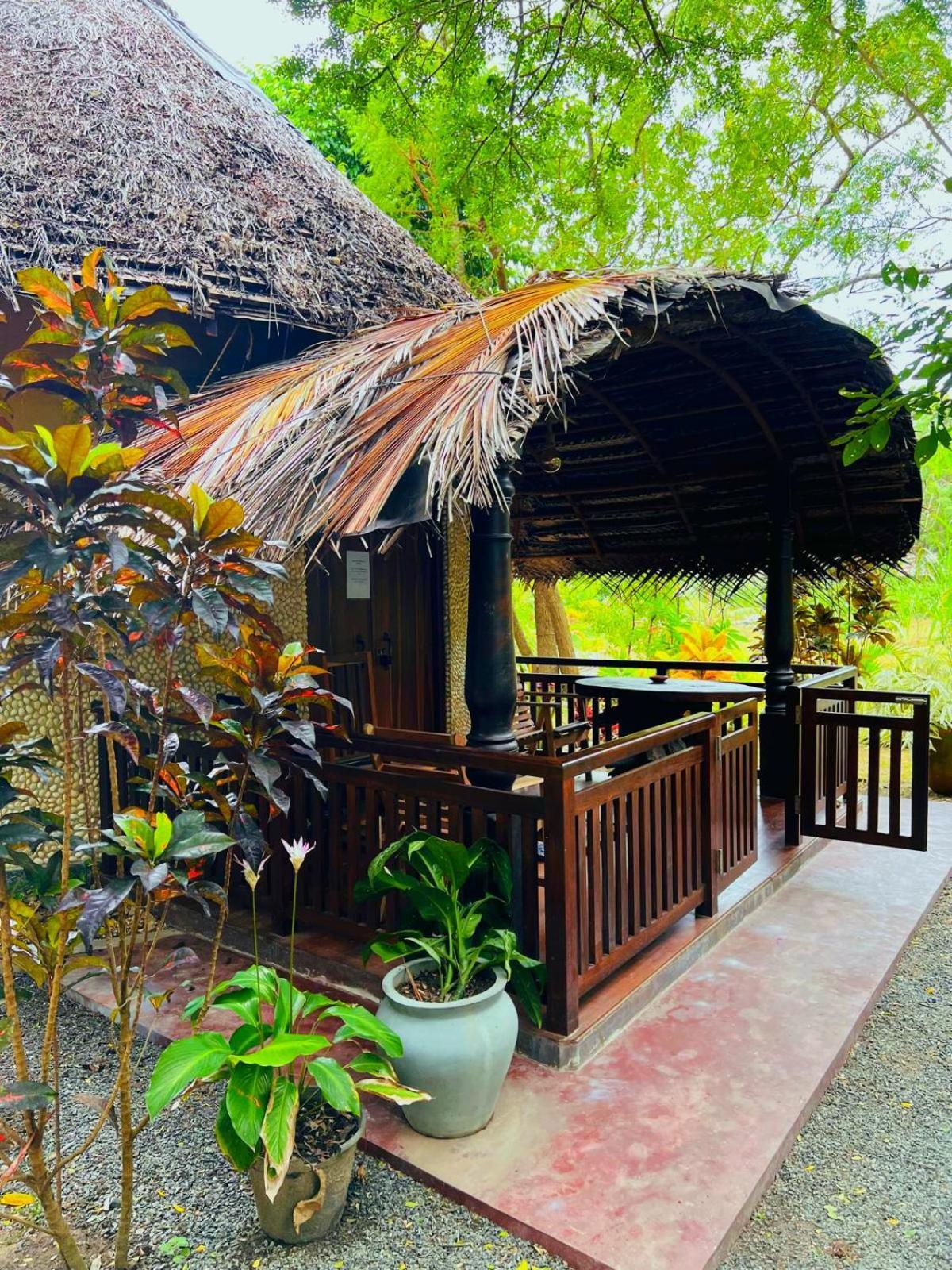 Turtle Watch Cabana Tangalle Exterior photo