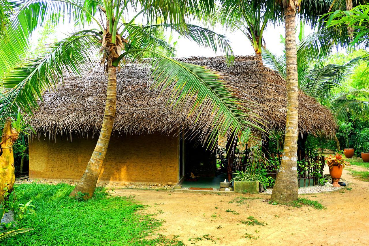 Turtle Watch Cabana Tangalle Exterior photo