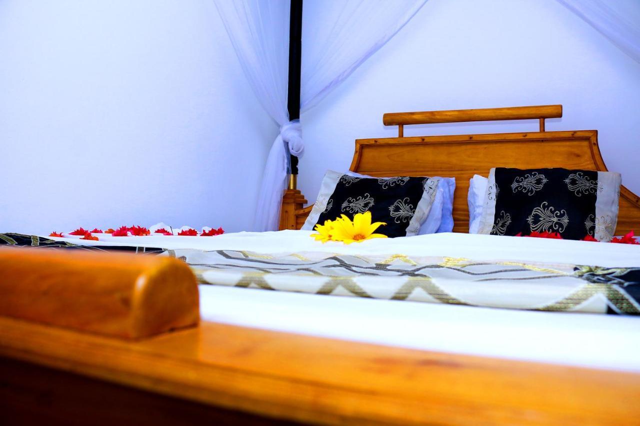 Turtle Watch Cabana Tangalle Room photo